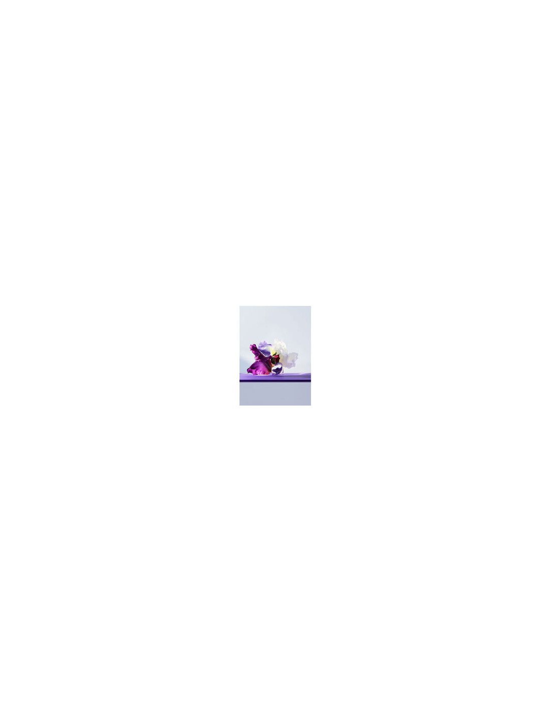 OMNIA AMETHYSTE EUA DE TOILETTE OMNIA AMETHYSTE EUA DE TOILETTE